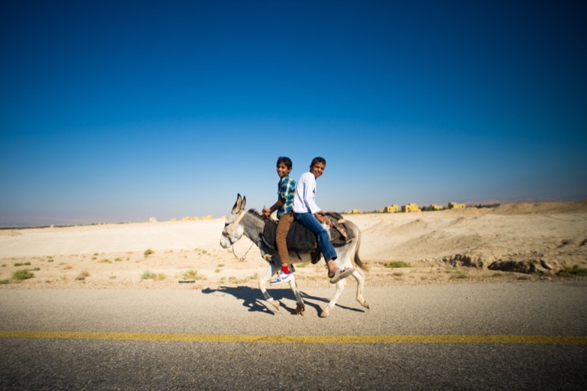 Two boys riding a donkey near the Dead Sea