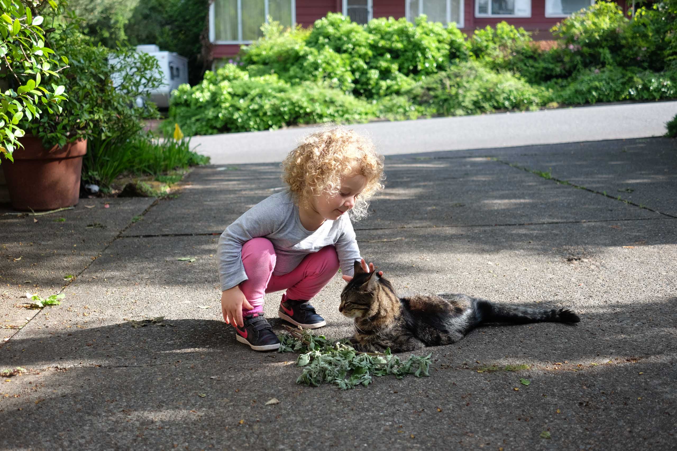 idara and cat