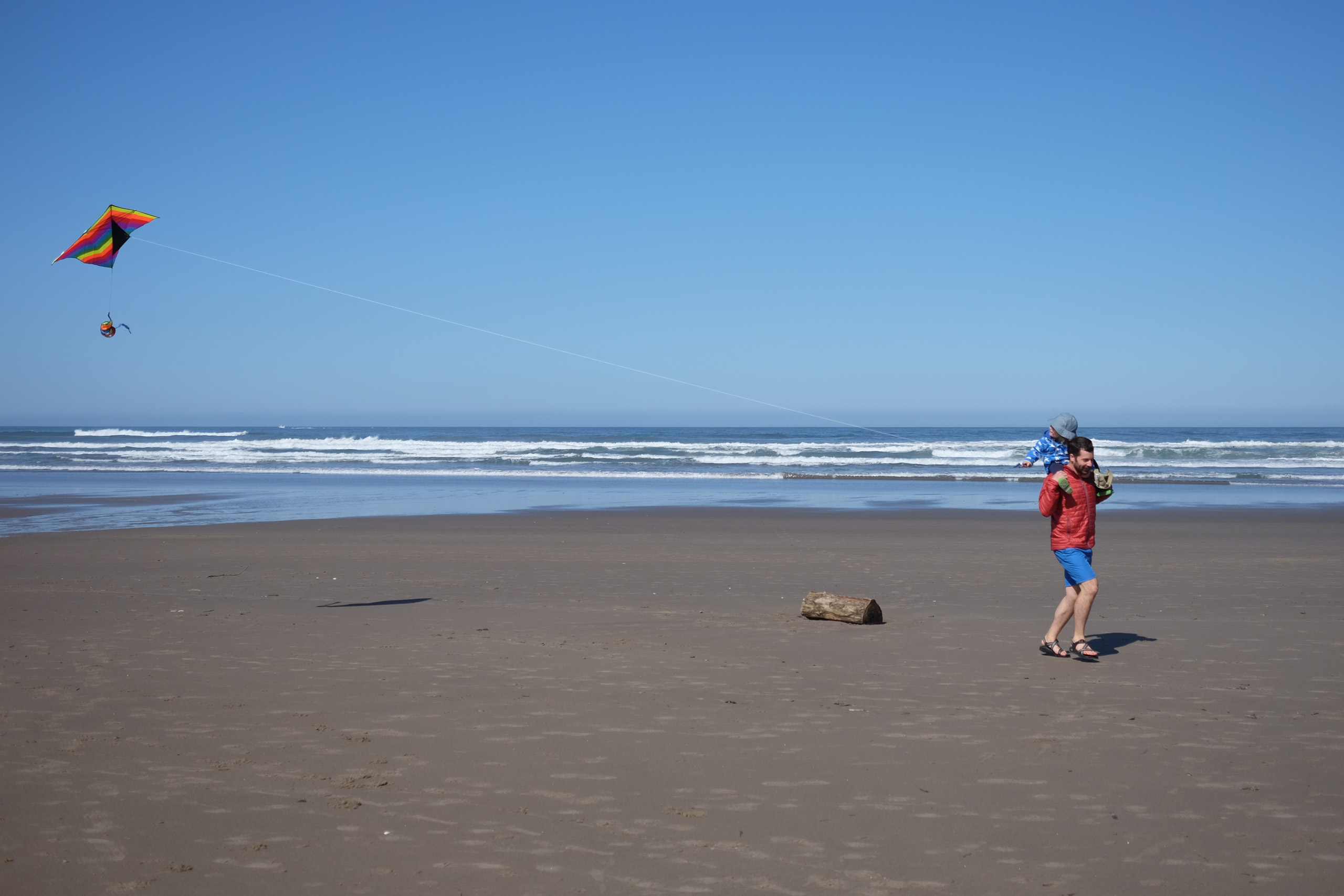 flying kite