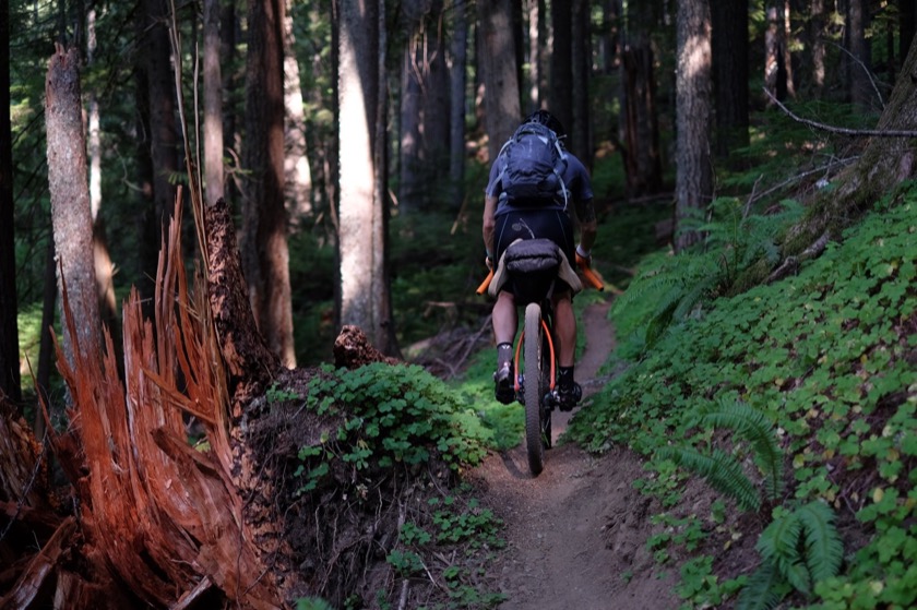 There was way more singletrack than we expected, more bike pushing, more climbing. We underestimated how much water we'd need and ended up drinking (treated) water out of a stream. Hopefully we don't get giardiasis.