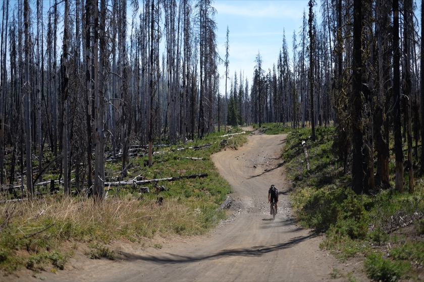 East of Big Lake our riding took us through land that burned in the B & B Complex Fire of 2003.