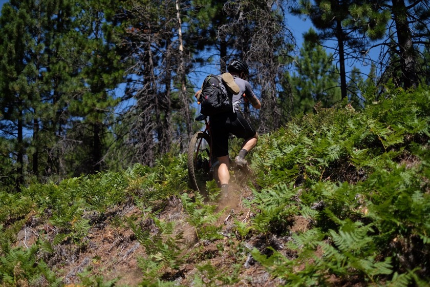 A few miles east of Big Lake the Santiam Wagon Road becomes unrideable, so we hiked up a hill to join Forest Service Road 500.