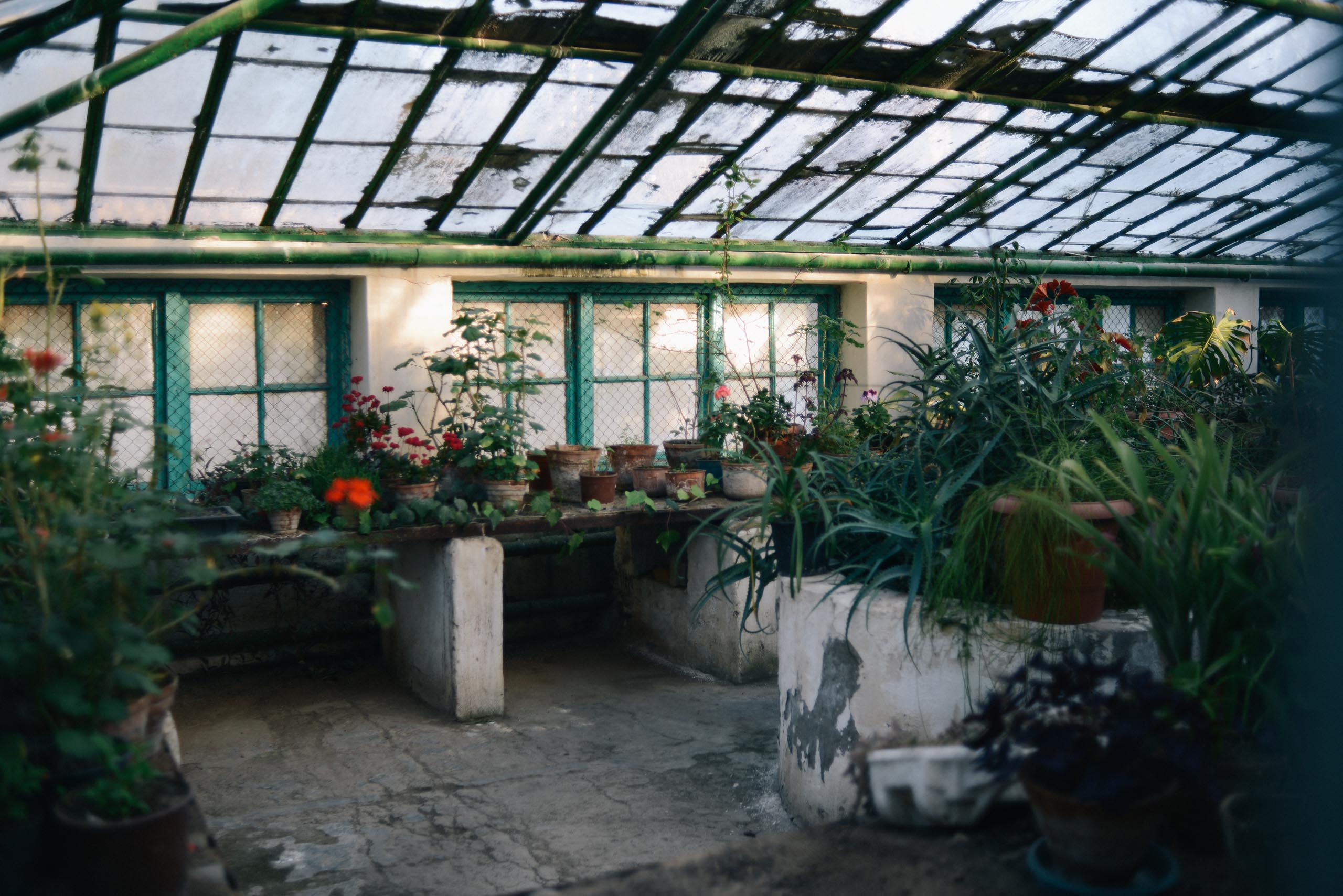 botanical-greenhouse-inside.jpg