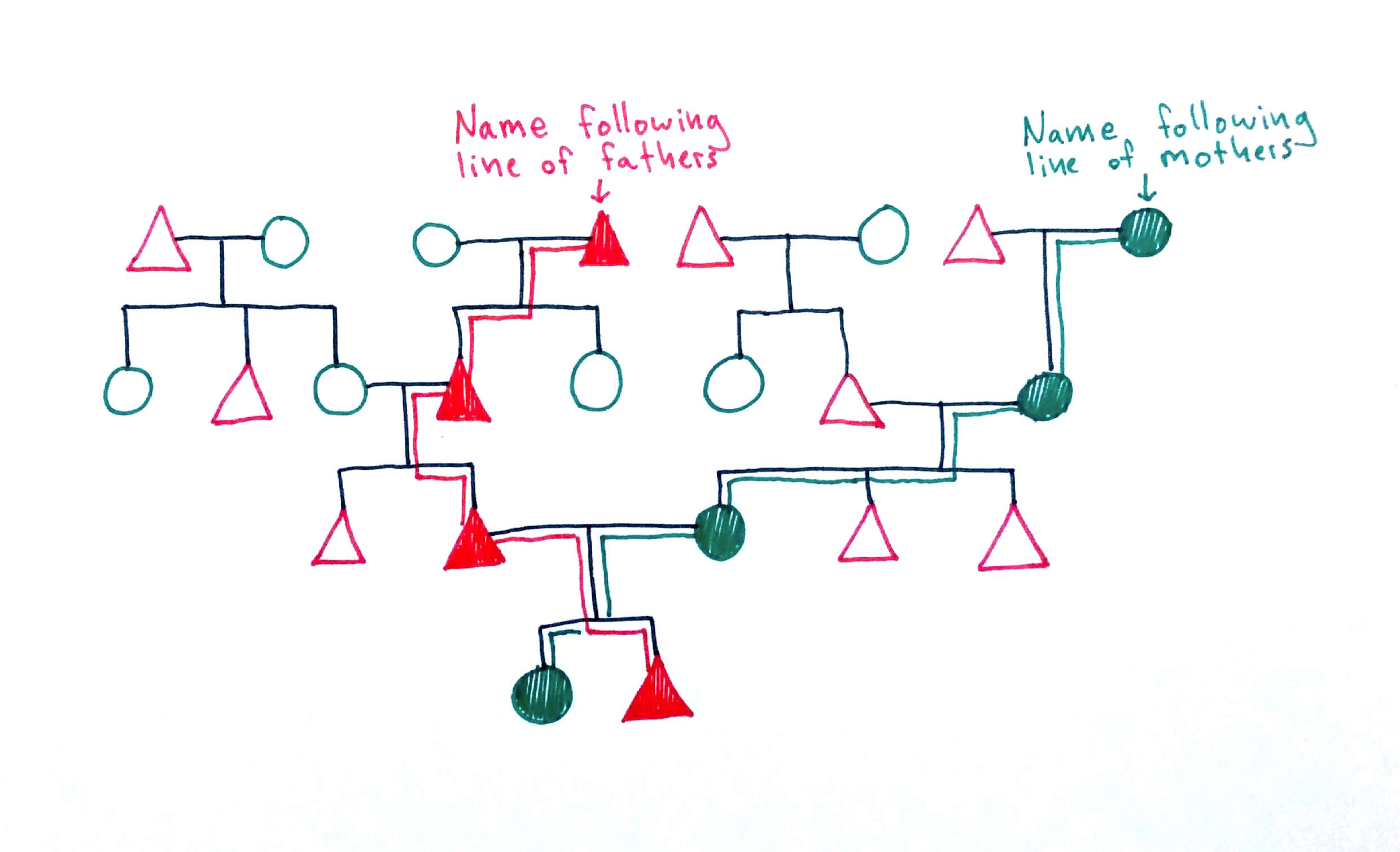 mock family tree