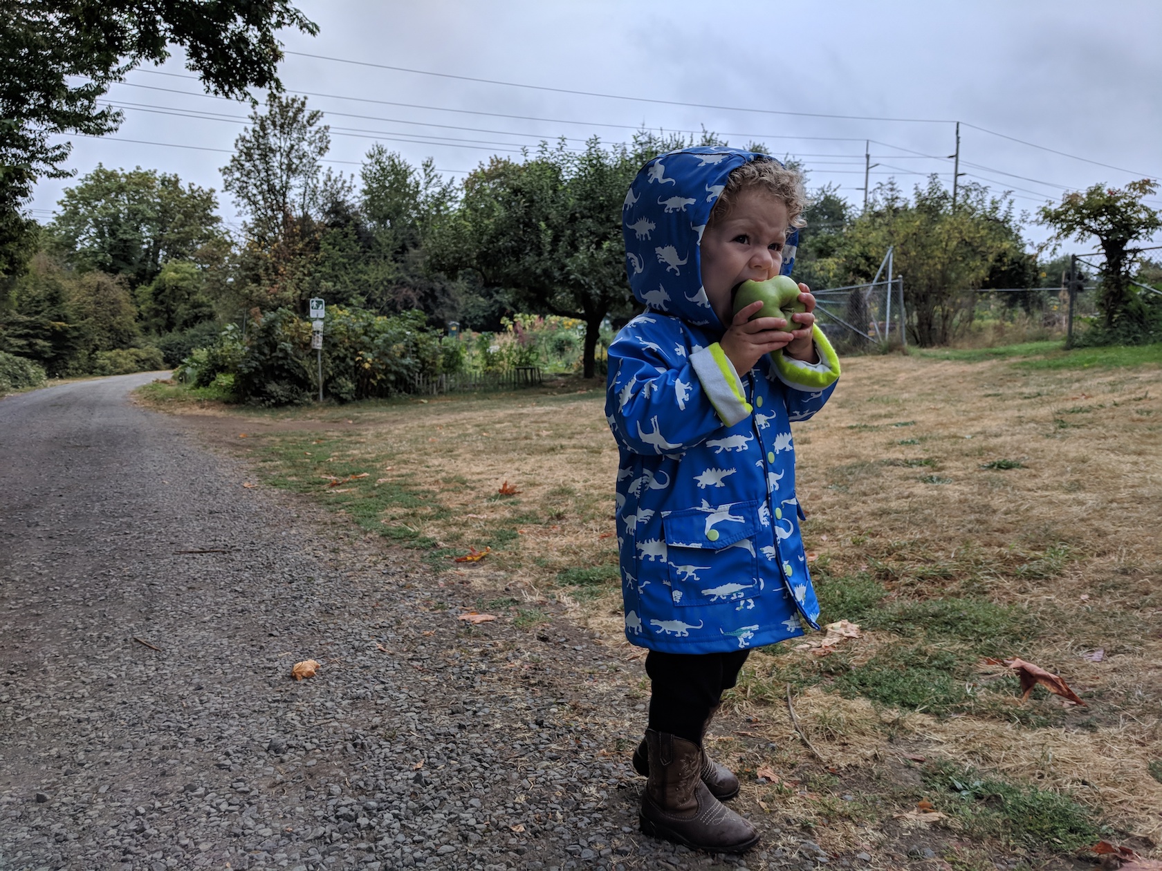 idara eating apple at garden
