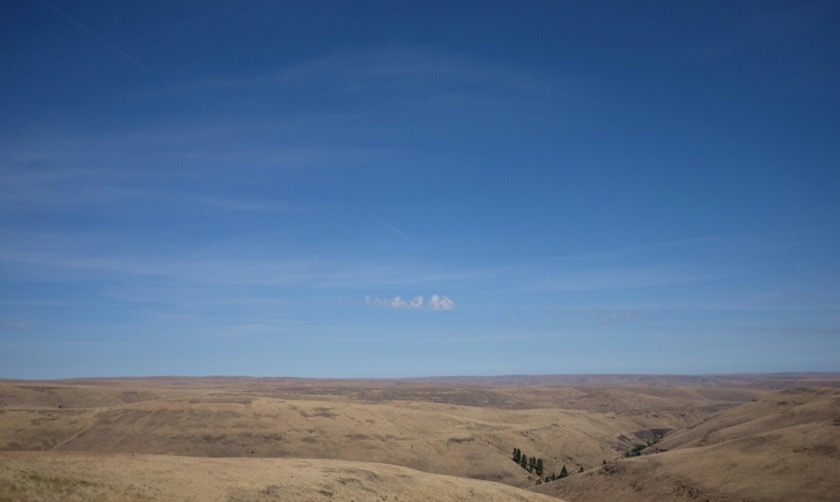 Just north of Battle Mountain, the forested peaks of the Blue Mountains give way to the rolling grasslands of the Columbia Basin. What a sight.